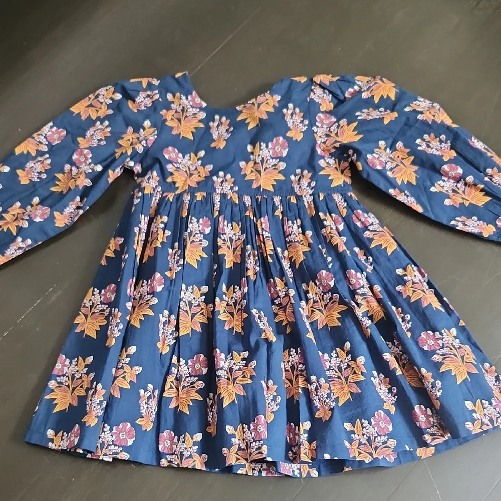 Pink Chicken Blue Floral Casual Dress